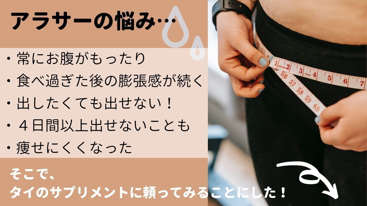 YANHEE ベジファイバーダイエット100錠