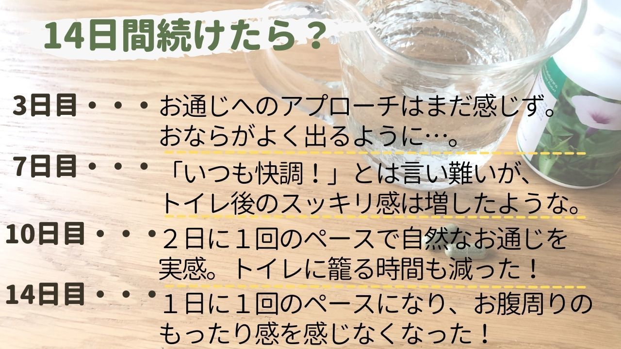 YANHEE ベジファイバーダイエット100錠