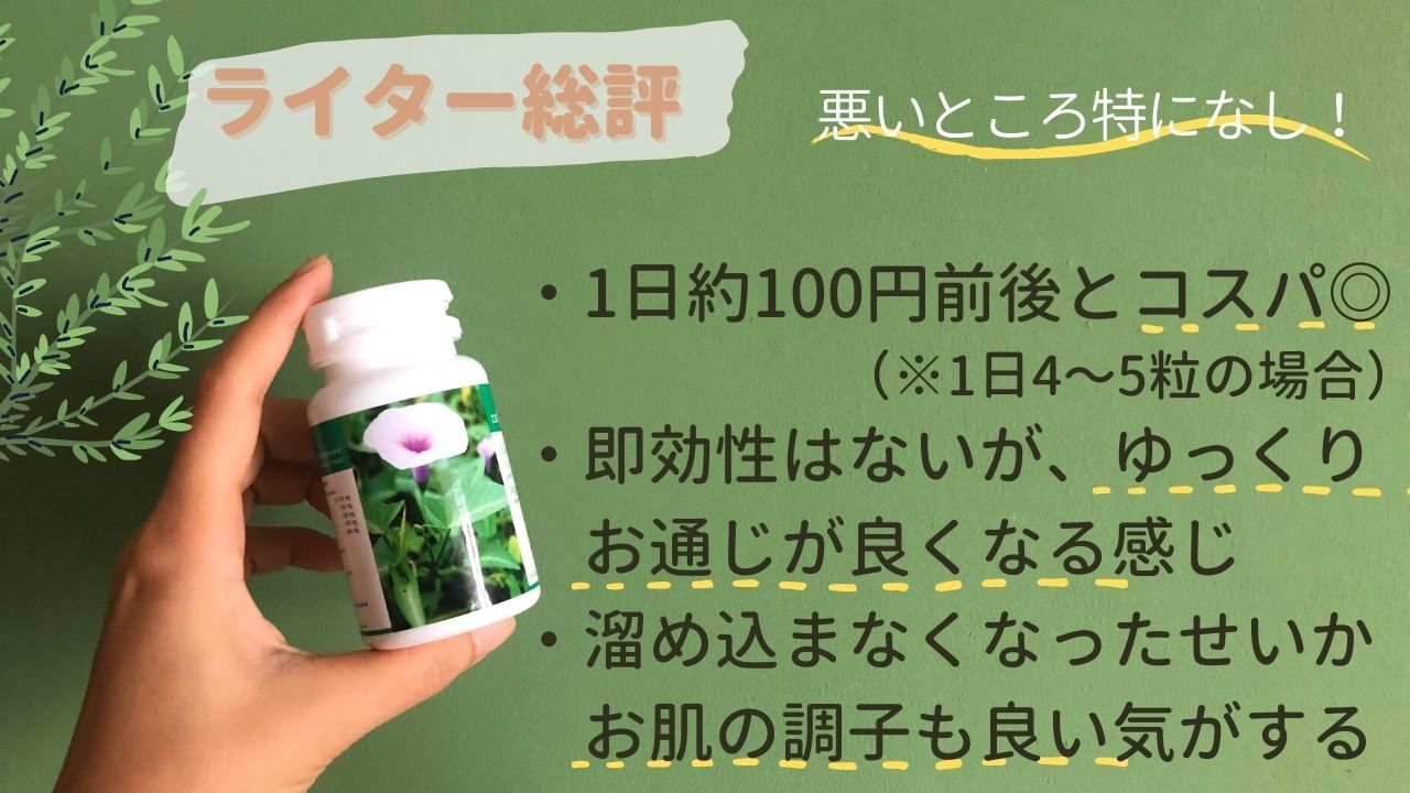 YANHEE ベジファイバーダイエット100錠