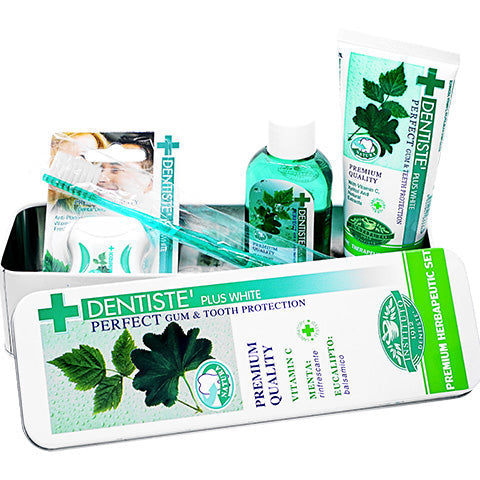 DENTISTE デンティス・プレミアム歯みがきセット