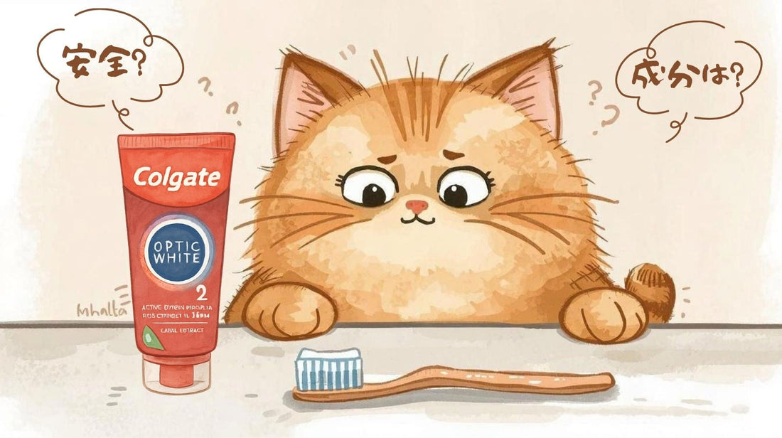 【Colgate】最強ホワイトニング歯磨き粉！「なぜそんなに白くなるの？」を徹底解説！【コルゲート】