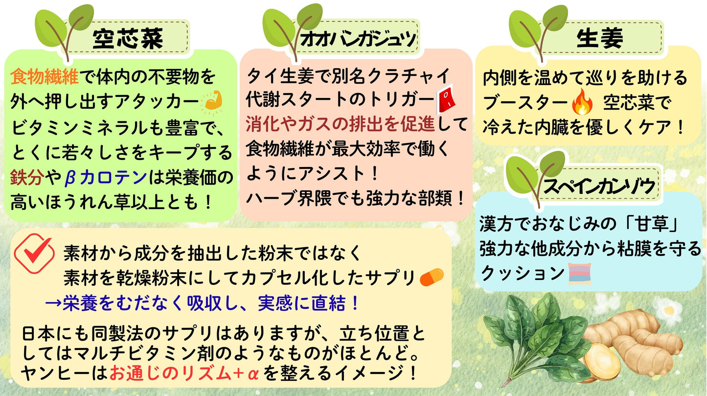 YANHEE ベジファイバーダイエット100錠