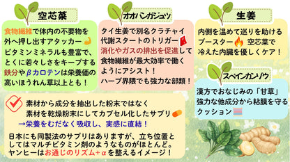 YANHEE ベジファイバーダイエット100錠