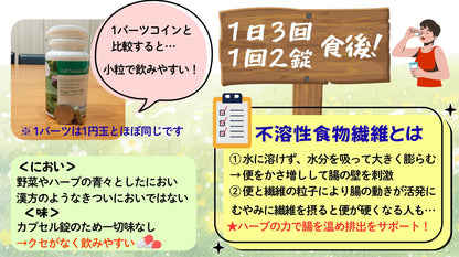 YANHEE ベジファイバーダイエット100錠