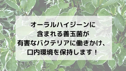 Life Extension オーラルハイジーン30粒